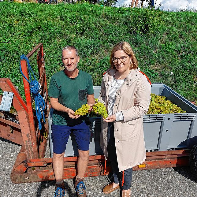 Betriebsleiter Klaus Biesinger und Geschäftsführerin Sabrina Glönkler von der Rebenaufbau-Genossenschaft sind mit der Qualität der ...