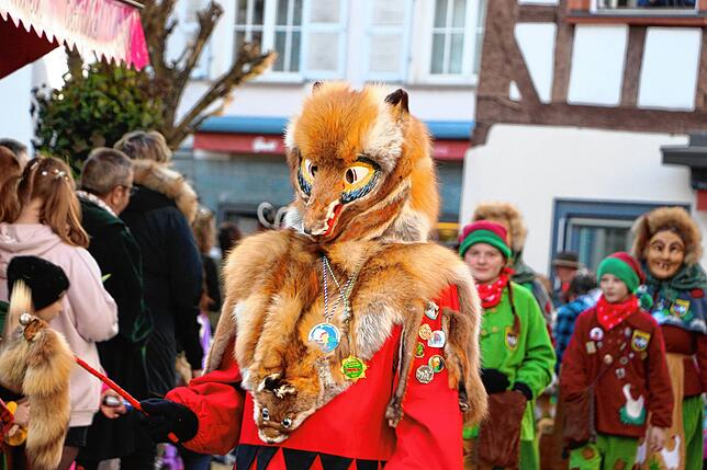 Bild 6: Die schönsten Bilder vom Umzug in Meßkirch (1)