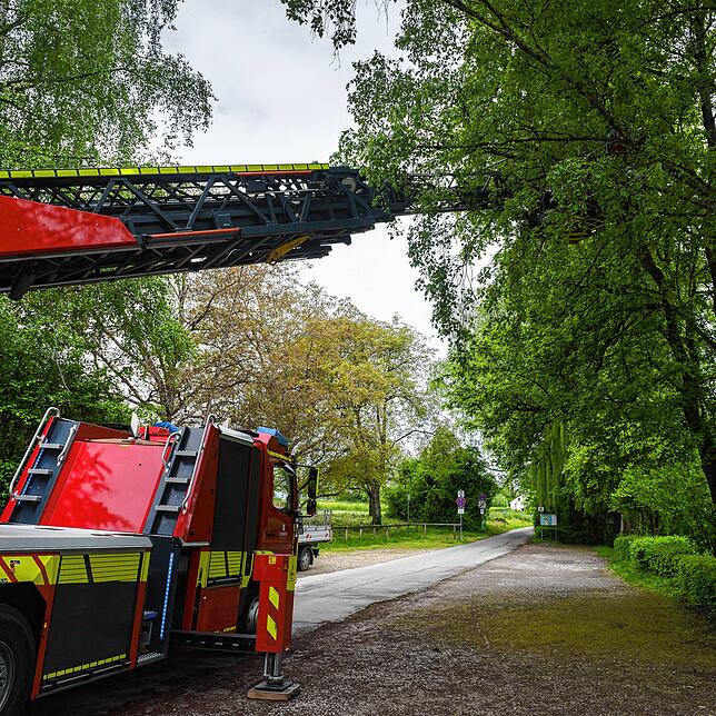 Die Feuerwehr rückte aus und befreite die Katze mit Hilfe der Drehleiter.