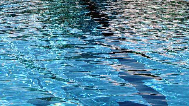 Ein sechsjähriger Junge hat im Freibad Albbruck sein Bewusstsein verloren. Der Schwimmmeister rettete das Kind und belebte es wieder. ...