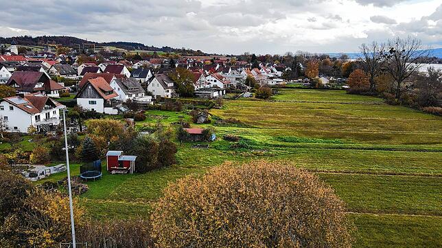 Um diesen Bereich geht es: Links im Bild befindet sich die Gnadenseestraße, daneben erstreckt sich eine weite Grünfläche.
