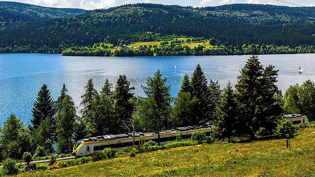 Der Schluchsee im Schwarzwald: 1999 knackten acht Taucher einen Rekord und legten 31 Kilometer unter Wasser zurück.