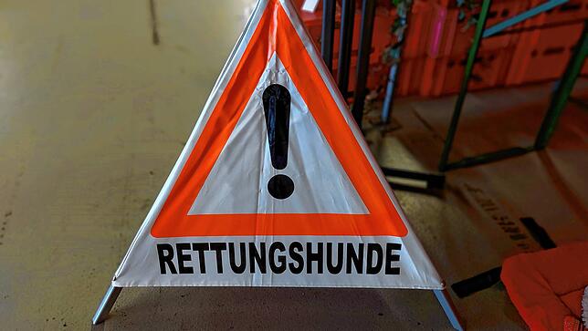 Bild 7: Bei der Messe &bdquo;Mein Hund&ldquo; schwingen Vier- und Zweibeiner gemeinsam das Tanzbein &ndash; Mit Video!