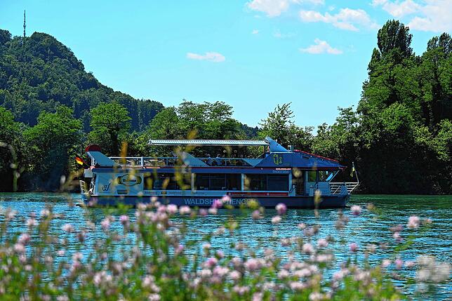 Bild 9: Alle Bilder zum Freibadfest in Waldshut