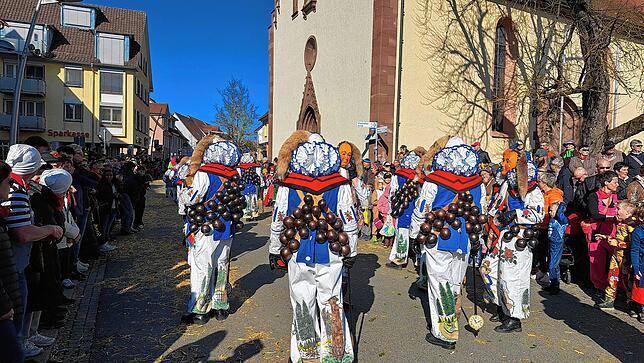 Bild 10: Fasnet 2025: Die schönsten Bilder vom Umzug in Hüfingen