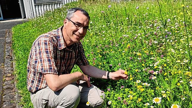 Nicht nur optisch ein Blickfang, sondern auch insektenfreundlich: Gregor Schmitz, Leiter des Botanischen Gartens der Universität ...