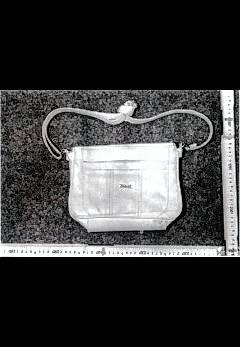 Eine Handtasche mit Blutspuren. Gehörte sie der getöteten Frau?