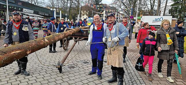 Es ist Sitte, dass der Bürgermeister Bad Dürrheims beim Narrenbaumstellen durch die Siedergilde tatkräftig hilft.