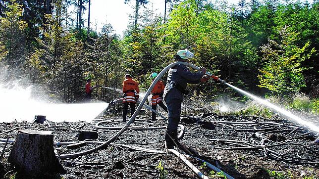 Feuerwehreinsatz im Wald: 65 Feuerwehrmänner löschten 2008 einen Waldbrand bei Rippolingen. In den Landkreisen Waldshut und Lörrach ist ...