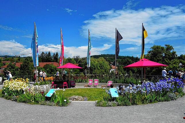 Nach dem Anstieg auf den Rosenobelturm wird man mit dem Blick auf den in voller Blüte stehenden Farbkreis belohnt.