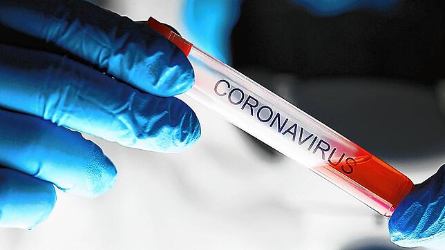 Male chemist hand in blue protective gloves hold test tube closeup background