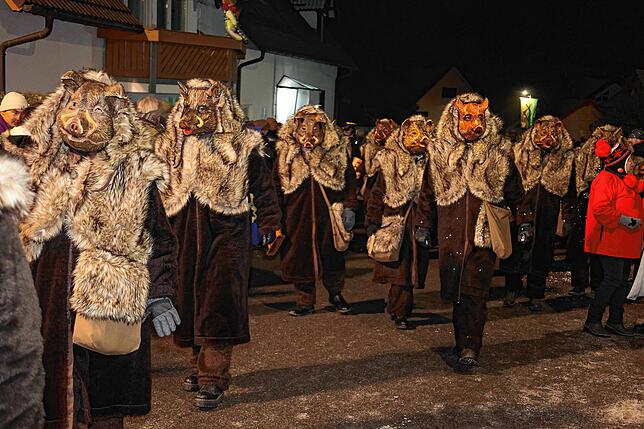 Der Carnevalverein Spessarter Eber aus Ettlingen ist mit 45 Wildsauen nach Pfaffenweiler gekommen.