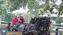 Mehr als 40 Gespanne haben für das Turnier in Donaueschingen gemeldet. Georg von Stein hofft mit seinem Team auf eine Platzierung ganz ...