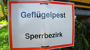 Geflügelhalter im Kreis Lörrach müssen ihre Tiere bis 28. März 2023 im Stall halten oder den Auslaufbereich mit engmaschigen Netzen ...