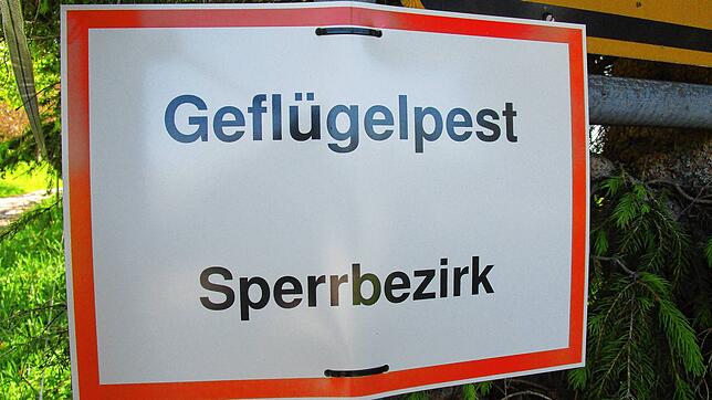 Geflügelhalter im Kreis Lörrach müssen ihre Tiere bis 28. März 2023 im Stall halten oder den Auslaufbereich mit engmaschigen Netzen ...