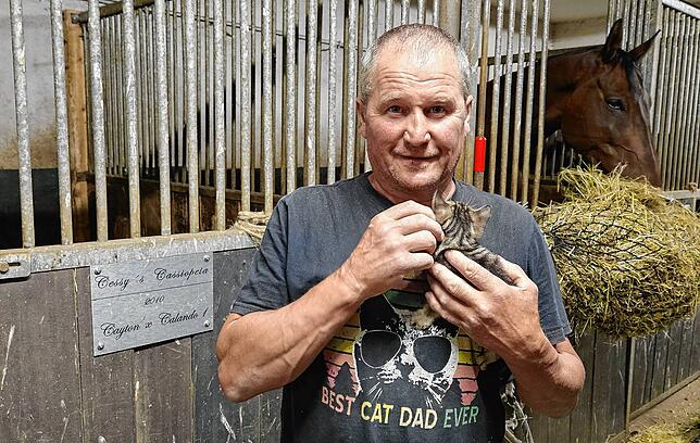 Claus Steidinger mit der kleinen Baby-Katze. Das Shirt „Best Cat Dad Ever“ verkörpert einen Selbstanspruch: den kleinen Katzen ein ...