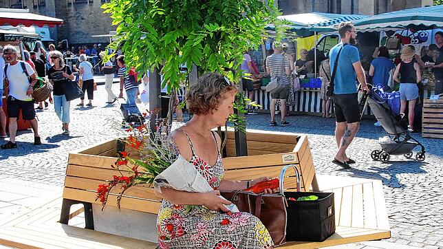 Noch haben die Pflanzen in den mobilen Kästen auf dem Herz-Jesu-Platz Luft nach oben, aber schon jetzt spenden die Pflanzen Schatten und ...