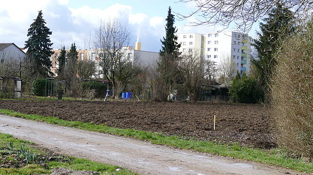 Das Areal an der Römerstraße, wo das zentrale Feuerwehrgerätehaus entstehen soll.