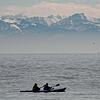 Bodensee mit Alpen im Hintergrund: Die Gletscher sind eine der wichtigsten Wasserquellen für den See.