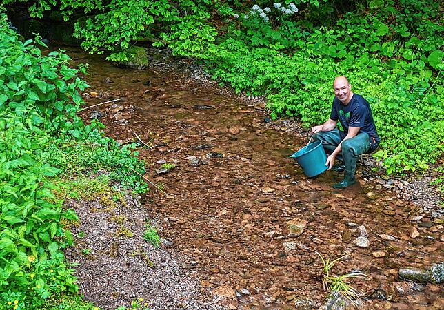 Im Kindergarten: Die kleinen Seitenarme der Wehra von Gersbach bis ins Enkendorf sind die Kinderstube der Jungfische. Größere ...