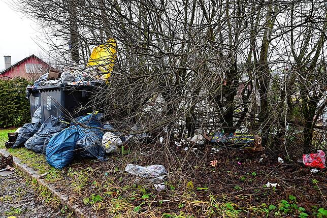 Auf der gegenüberliegenden Seite der Häuser liegt der Müll im Gebüsch. Das lockt Ratten und andere Tiere an.