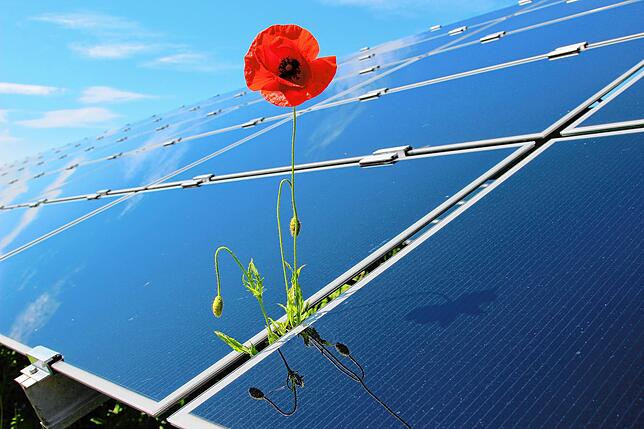 Die Bürger-Energie Bodensee ist bereits an einigen Solarpark-Projekten beteiligt.