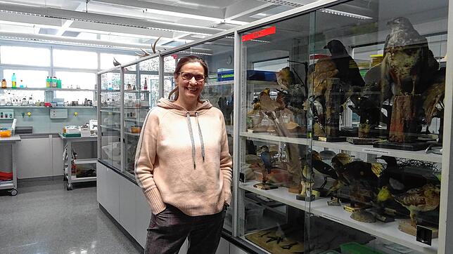 Sinje Schulz in der Biologiesammlung des Friedrich-Hecker Gymnasiums.