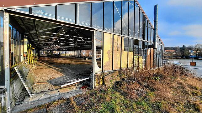 Bild 26: Wie im Dornröschenschlaf: So sieht das Gelände der ehemaligen Gärtnerei Lutz aus, das bald abgerissen wird