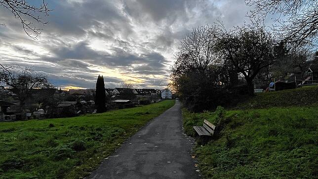 Hier am Urisbergweg versuchte ein Einbrecher, eine Gartenhütte zu knacken. Dabei beschädigte er die Tür.