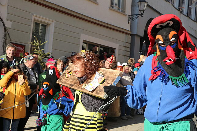 Bild 4: Die schönsten Fotos vom Rosenmäntig-Umzug (5)