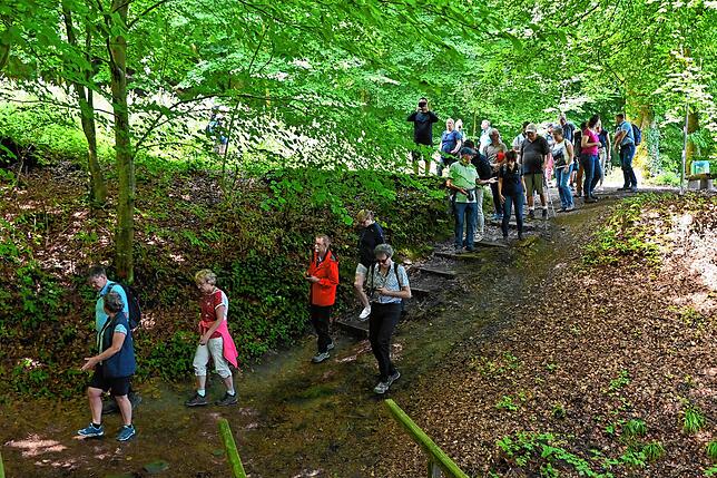 Bild 19: Wie läuft es sich von der Marienschlucht zum Burghof? Bilder einer Wanderung