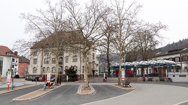 Der Waldshuter Busbahnhof ist nach wie vor Kriminalitätsschwerpunkt, obwohl die Stadt allgemein sicherer geworden ist.