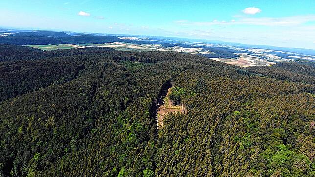 Das Luftbild von der Länge vom August 2019 zeigt die im Februar 2018 gerodete Stelle für den Windpark Länge.