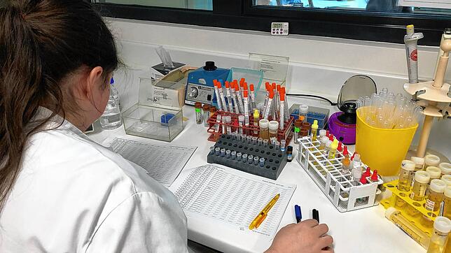 Im Labor Blessing in Singen untersucht eine Mitarbeiterin Verdachtsfälle auf das neue Coronavirus.