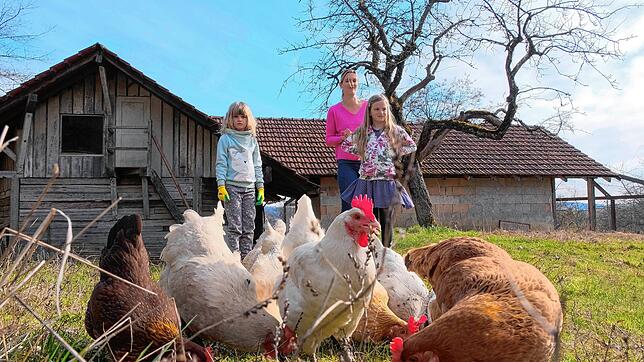 Familie mit glücklichen Hühnern: Ava Wolf aus Öhningen mit ihren Töchtern Leah (l.) und Emily (r.).