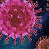 Coronavirus (Symbolbild).
