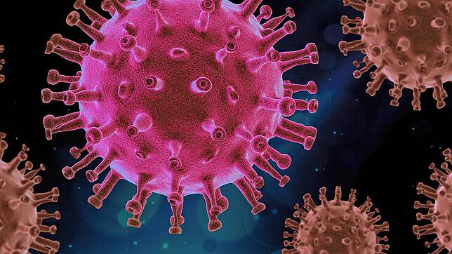 Coronavirus (Symbolbild).
