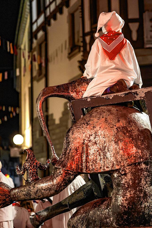 Bild 11: Fasnacht in Radolfzell: Diese Highlights prägten den Hemdglonkerumzug 2025 – Das sind die schönsten Bilder