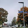 Straßenlaternen in der Friedhofstraße in Nenzingen.