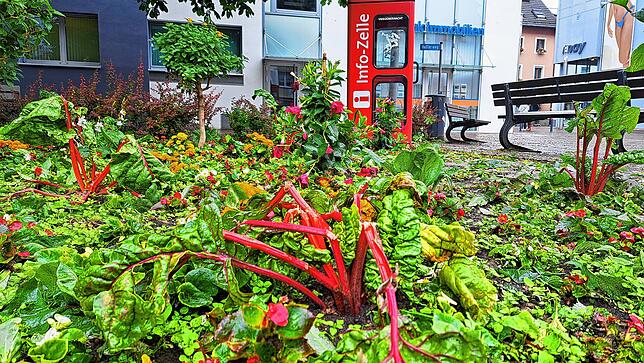 Bild 13: Hagelkörner groß wie Taubeneier! Bilder vom Unwetter am 1. Juni in Bad Säckingen - und den Schäden