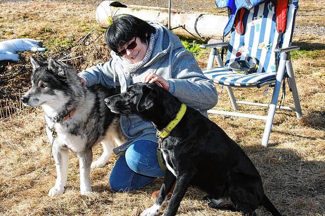 Kuscheln mit den Schlittenhunden war ausdrücklich erlaubt im Waldhaus Husky-Camp in Schwarzenbach
