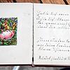 Die ersten Zeilen auf der Seite eines Poesiealbums. Sie wurden 1916 in Sütterlin geschrieben.