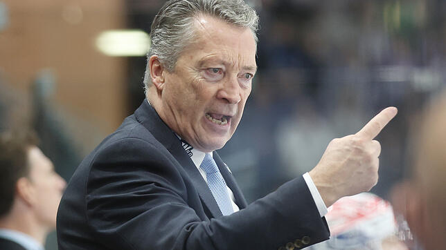 Harold Kreis, Trainer der Wild Wings.