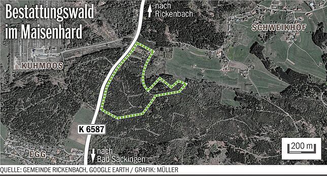 Auf dieser Fläche zwischen Egg und Schweikhof soll der „Ruhe-Forst Rickenbach im Südschwarzwald“ auf den markierten 23,8 ...