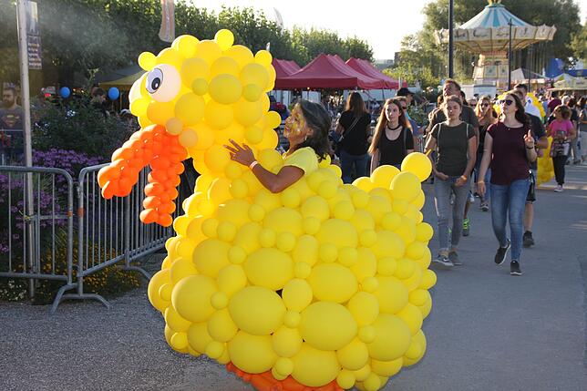 Bild 23: Die besten Bilder vom Seenachtfest 2018