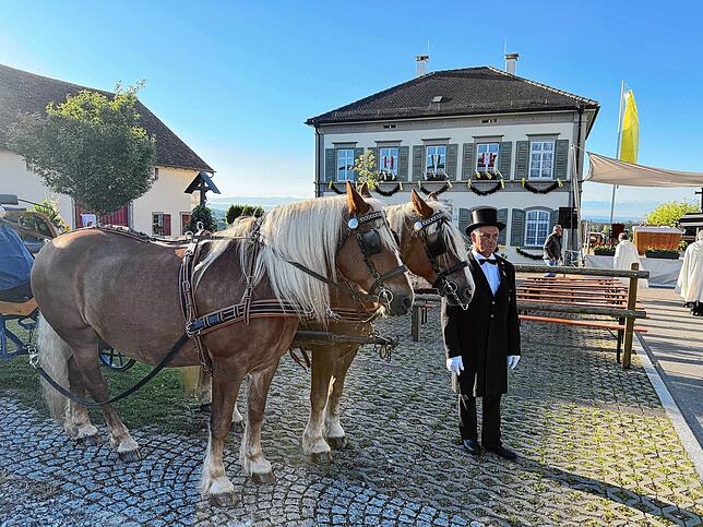 Bild 15: Zweihundert Reiter beim Limpacher Georgiritt