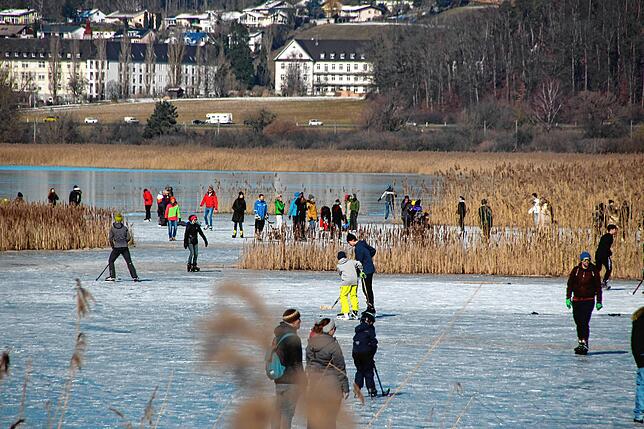 Bild 4: Das Eis ist da! Zahlreiche Kufen-Freunde waren am Sonntag zwischen Hegne und der Reichenau unterwegs. Die Kälte sorgte außerdem für tolle Eisskulpturen