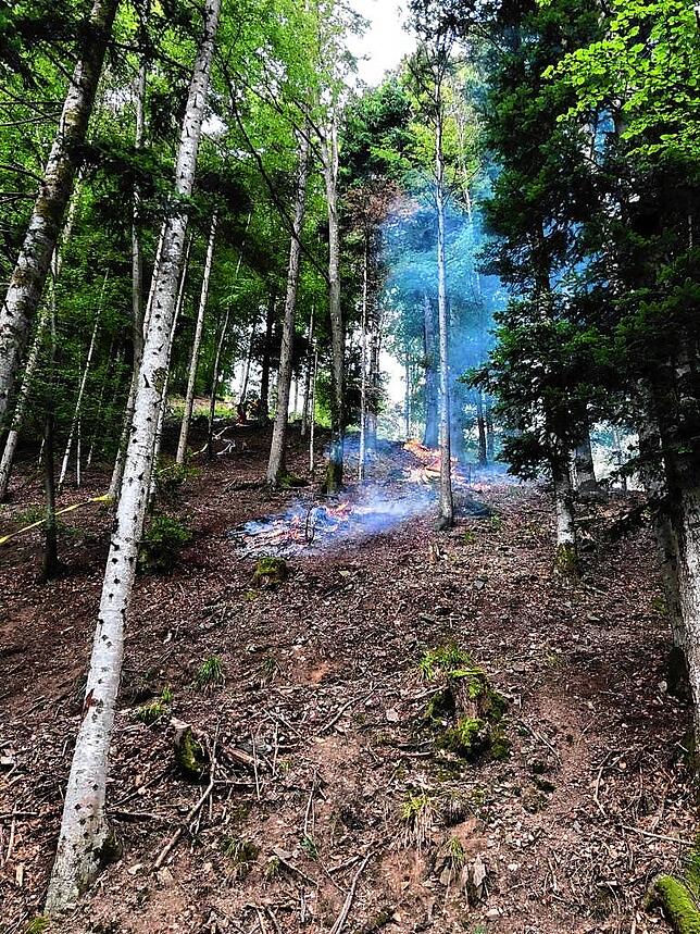 Bild 2: Loderne Flammen im Wald! Wie sich die Feuerwehr auf den Klimawandel vorbereitet