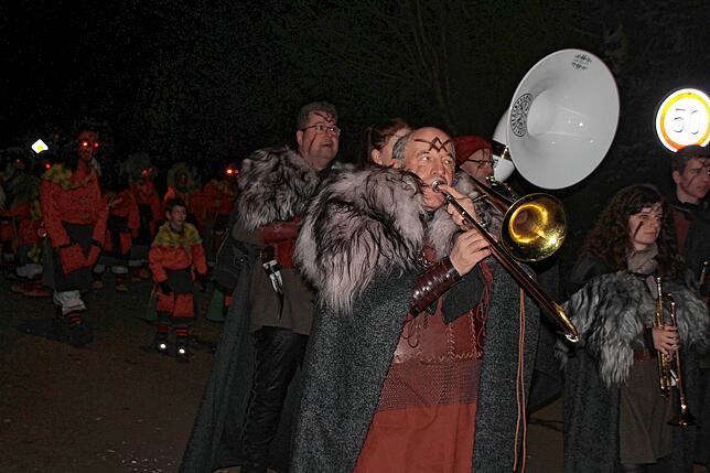 Bild 13: Bilder vom Nachtumzug beim Kleggau-Narrentreffen am Samstag