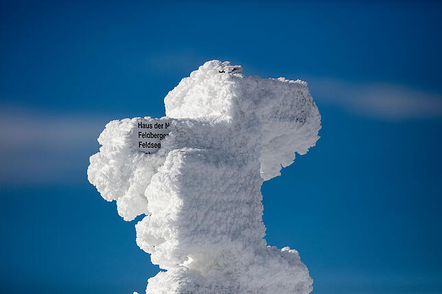 Bild 8: Blauer Himmel und ganz viel Schnee: Atemberaubende Aussichten im Winterwunderland Feldberg